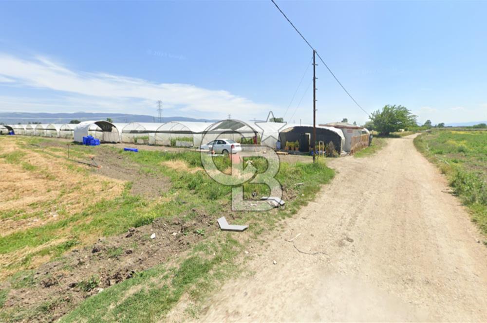 BURSA ORHANGAZİ ÇELTİKÇİ SATILIK TARLA!. 8460M2 YOL SU ELEKTRİK