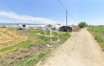 BURSA ORHANGAZİ ÇELTİKÇİ SATILIK TARLA!. 8460M2 YOL SU ELEKTRİK