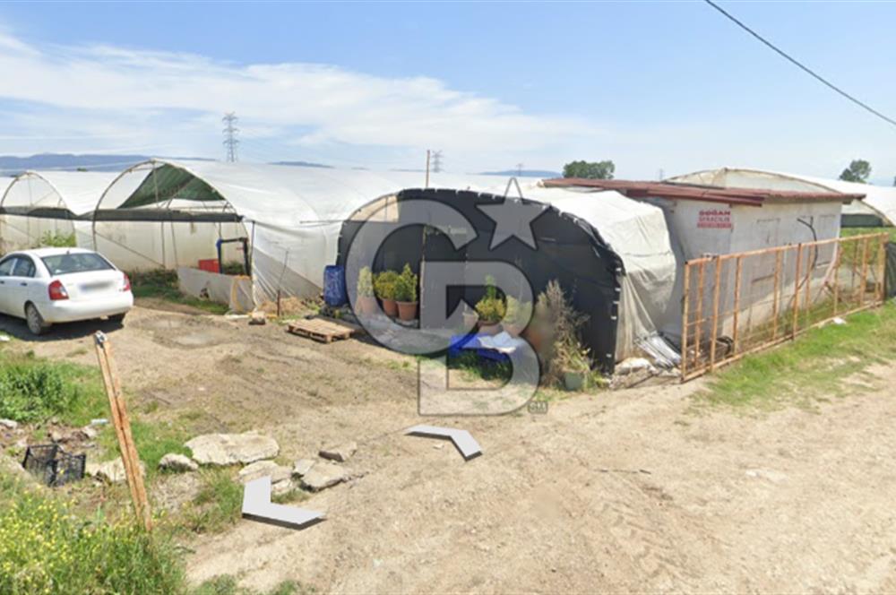 BURSA ORHANGAZİ ÇELTİKÇİ SATILIK TARLA!. 8460M2 YOL SU ELEKTRİK