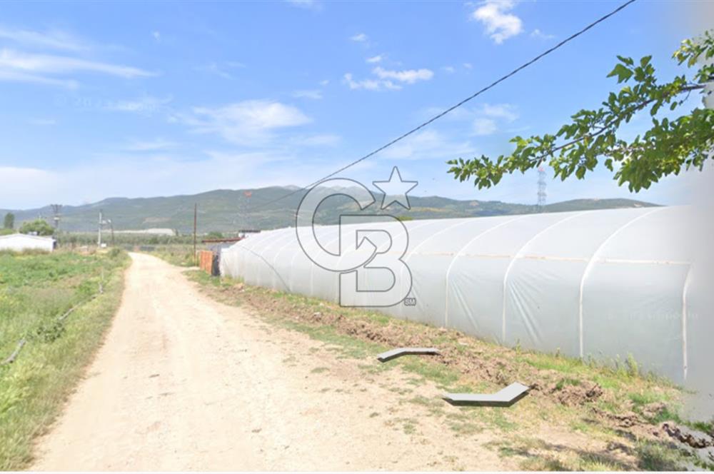 BURSA ORHANGAZİ ÇELTİKÇİ SATILIK TARLA!. 8460M2 YOL SU ELEKTRİK