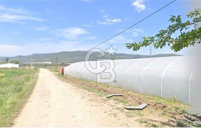 BURSA ORHANGAZİ ÇELTİKÇİ SATILIK TARLA!. 8460M2 YOL SU ELEKTRİK