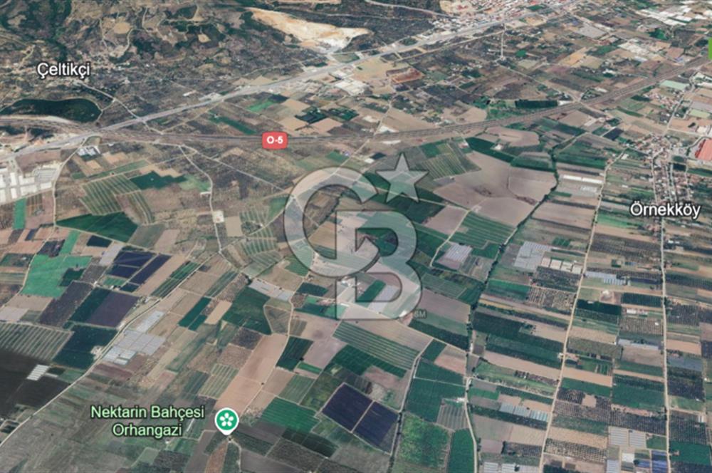 BURSA ORHANGAZİ ÇELTİKÇİ SATILIK TARLA!. 8460M2 YOL SU ELEKTRİK
