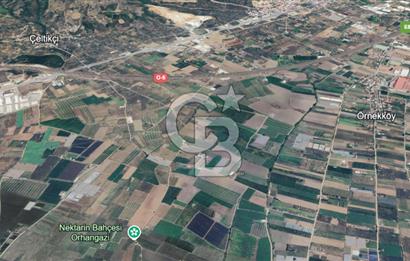 BURSA ORHANGAZİ ÇELTİKÇİ SATILIK TARLA!. 8460M2 YOL SU ELEKTRİK