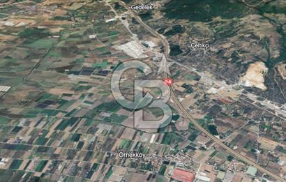 BURSA ORHANGAZİ ÇELTİKÇİ SATILIK TARLA!. 8460M2 YOL SU ELEKTRİK