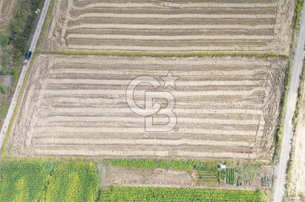 BİGA SAVAŞTEPE KÖYÜNDE 5 DÖNÜM SATILIK ARAZİ