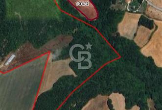 SİLİVRİ AKÖREN DE 8974 m2 TARLA