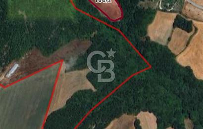 SİLİVRİ AKÖREN DE 8974 m2 TARLA