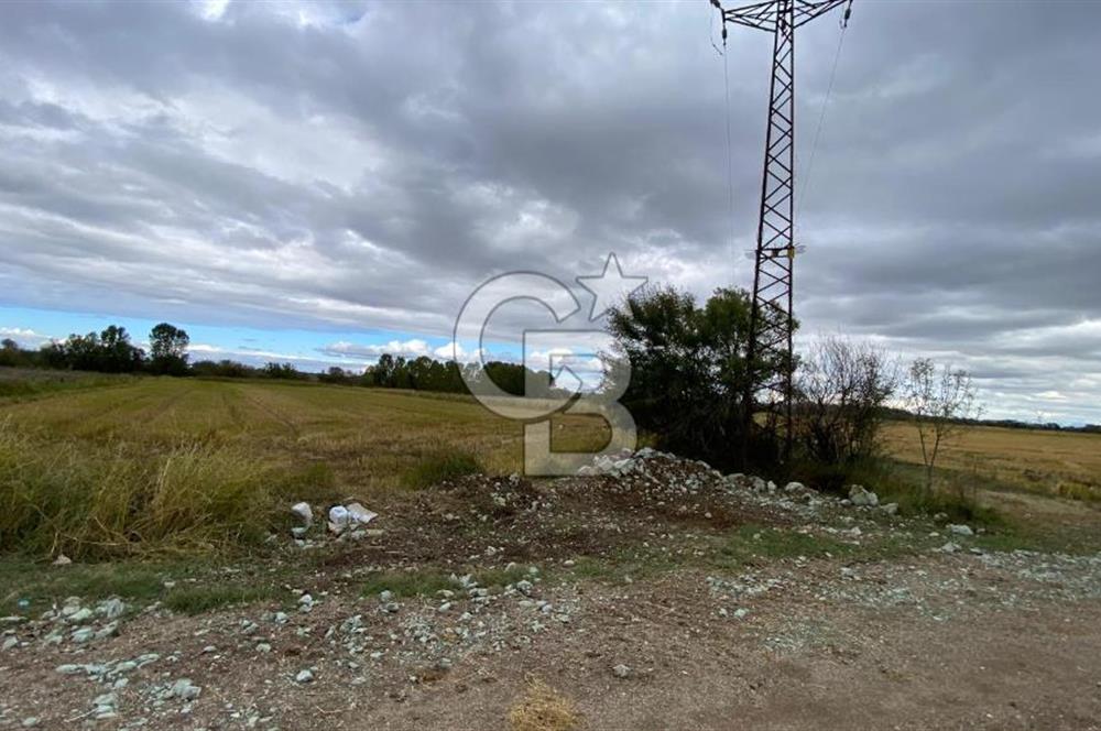 ÇANAKKALE BİGA DOĞANCI KÖYÜNDE TARIMA UYGUN SATILIK ARAZİ