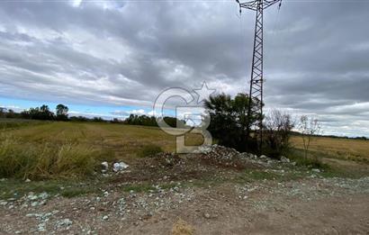 ÇANAKKALE BİGA DOĞANCI KÖYÜNDE TARIMA UYGUN SATILIK ARAZİ