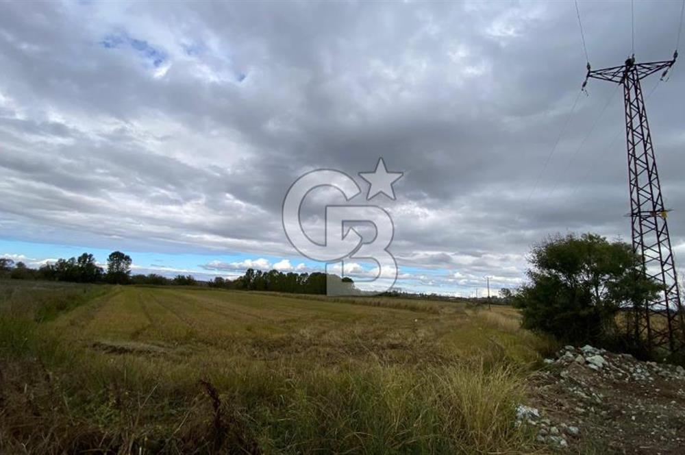 ÇANAKKALE BİGA DOĞANCI KÖYÜNDE TARIMA UYGUN SATILIK ARAZİ