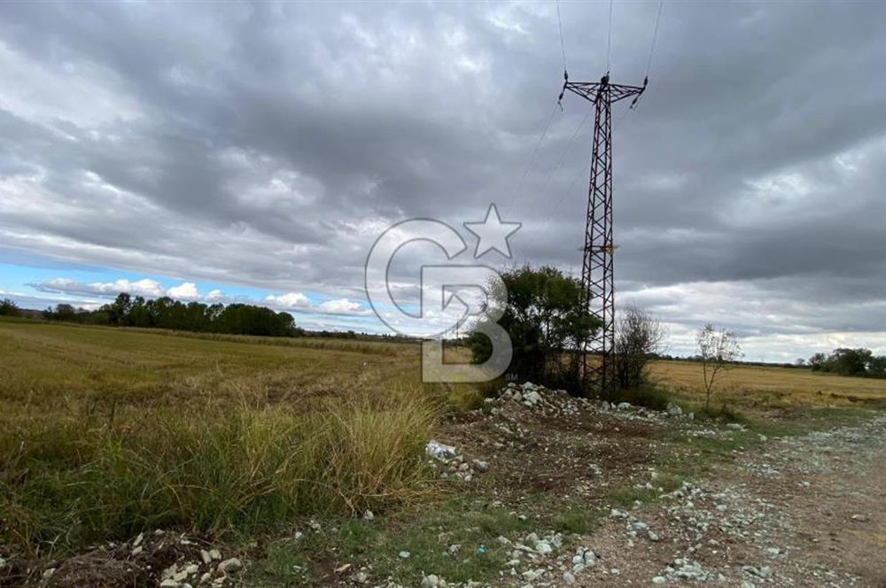 ÇANAKKALE BİGA DOĞANCI KÖYÜNDE TARIMA UYGUN SATILIK ARAZİ