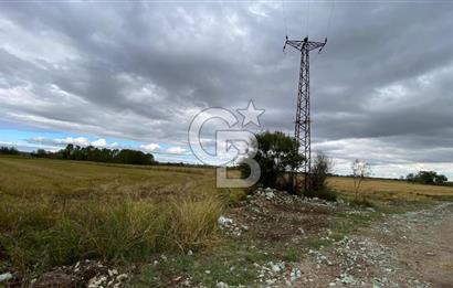 ÇANAKKALE BİGA DOĞANCI KÖYÜNDE TARIMA UYGUN SATILIK ARAZİ