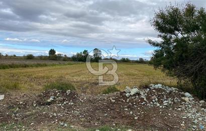 ÇANAKKALE BİGA DOĞANCI KÖYÜNDE TARIMA UYGUN SATILIK ARAZİ