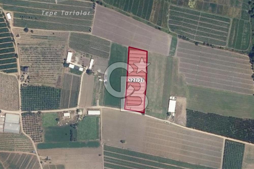 BURSA ORHANGAZİ ÇELTİKÇİ SATILIK TARLA!. 8460M2 YOL SU ELEKTRİK