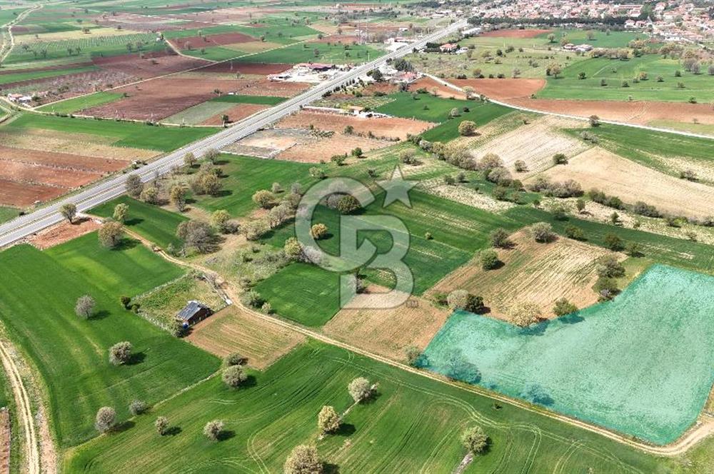 Denizli Tavas Vakıf ta Satılık Tarla