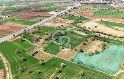 Denizli Tavas Vakıf ta Satılık Tarla