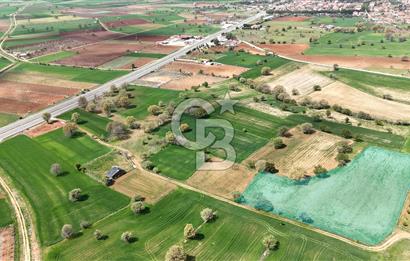 Denizli Tavas Vakıf ta Satılık Tarla