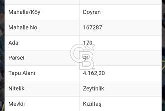 BALIKESİR EDREMİT DOYRAN'DA SATILIK 4162 M2 ZEYTİNLİK