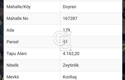 BALIKESİR EDREMİT DOYRAN'DA SATILIK 4162 M2 ZEYTİNLİK