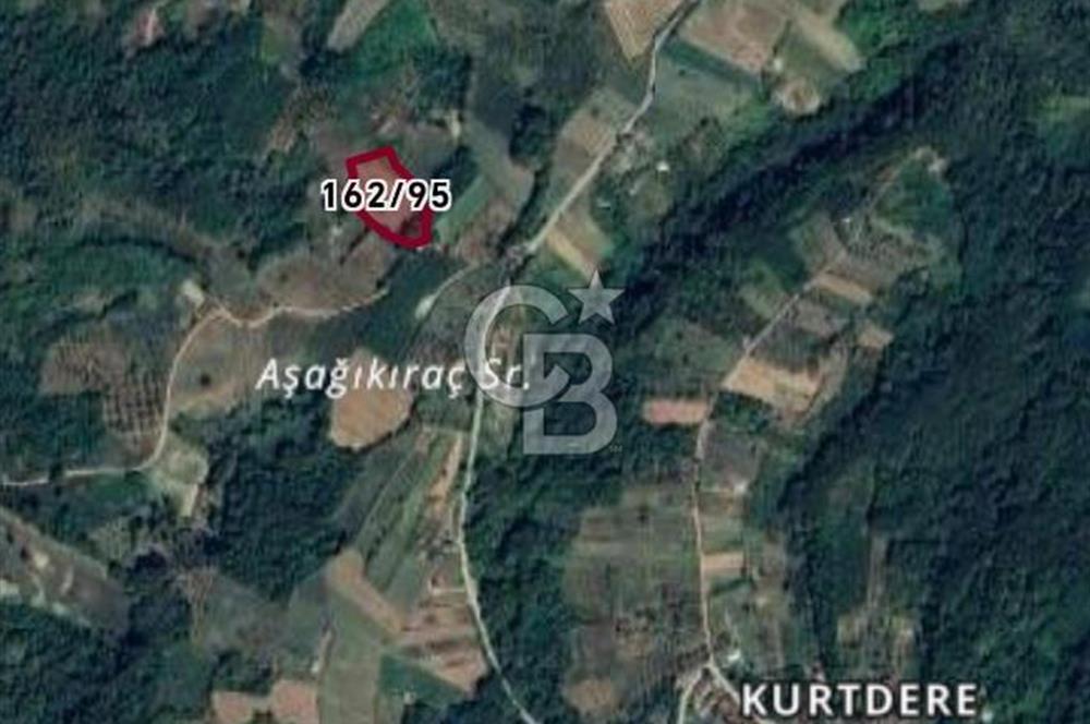 İZMİT KURTDERE KARANLIKDERE MEVKİİ'NDE GÖZLERDEN UZAK BİR YAŞAM!