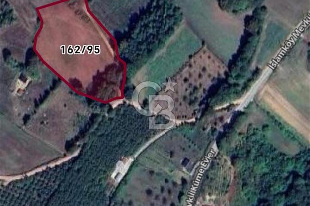 İZMİT KURTDERE KARANLIKDERE MEVKİİ'NDE GÖZLERDEN UZAK BİR YAŞAM!