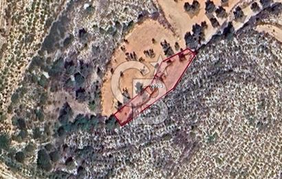 Urla Kadıovacık'ta Yatırımlık Fırsat Tarla