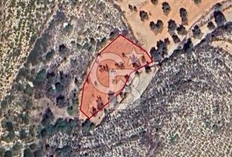 Urla Kadıovacık'ta Satılık Yatırımlık Fırsat Tarla