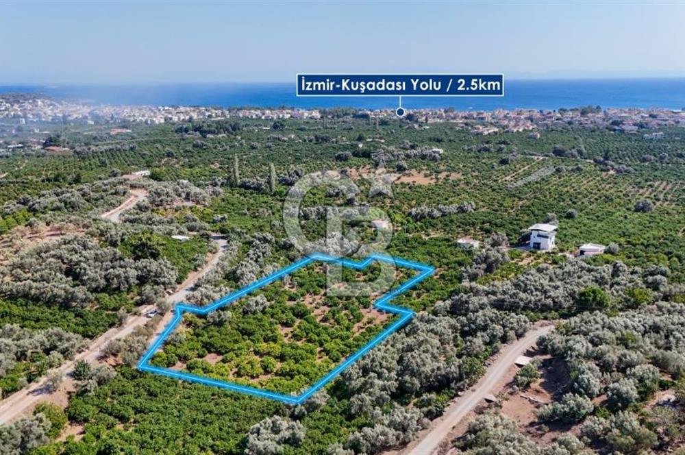 Seferihisar Ürkmez Satılık 8.830 m2 Tarla