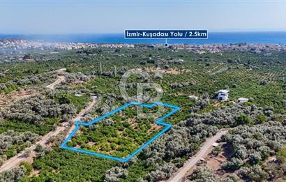 Seferihisar Ürkmez Satılık 8.830 m2 Tarla