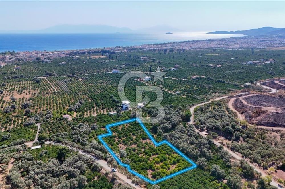 Seferihisar Ürkmez Satılık 8.830 m2 Tarla