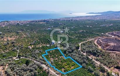 Seferihisar Ürkmez Satılık 8.830 m2 Tarla