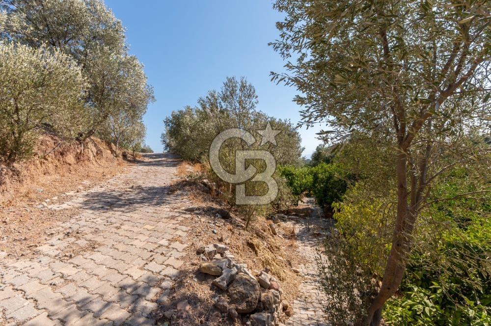 Seferihisar Ürkmez Satılık 8.830 m2 Tarla