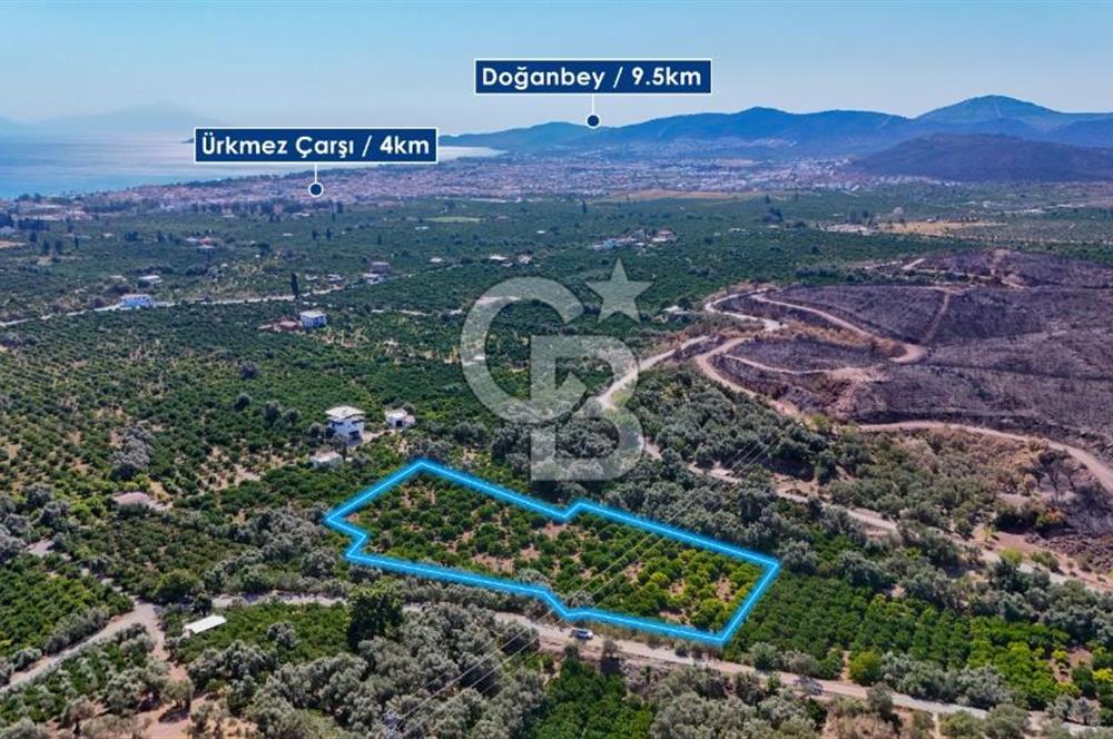 Seferihisar Ürkmez Satılık 8.830 m2 Tarla