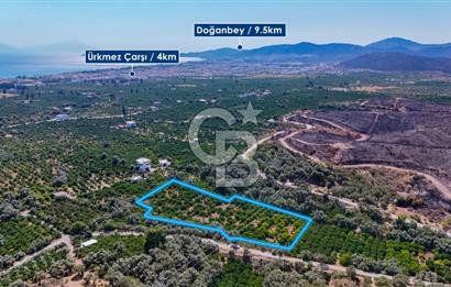 Seferihisar Ürkmez Satılık 8.830 m2 Tarla
