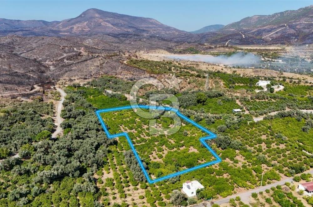 Seferihisar Ürkmez Satılık 8.830 m2 Tarla