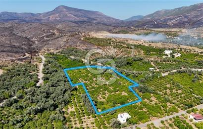 Seferihisar Ürkmez Satılık 8.830 m2 Tarla