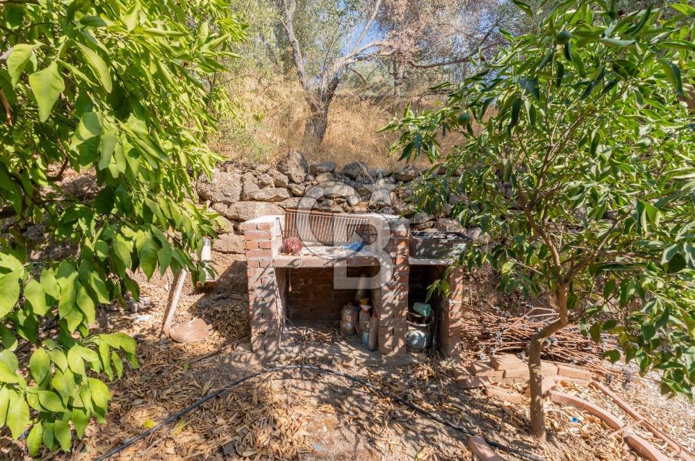 Seferihisar Ürkmez Satılık 8.830 m2 Tarla