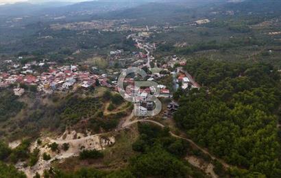 ÇANAKKALE AYVACIK SAZLI KÖYÜNDE SATILIK YATIRIMLIK İMARLI ARSA