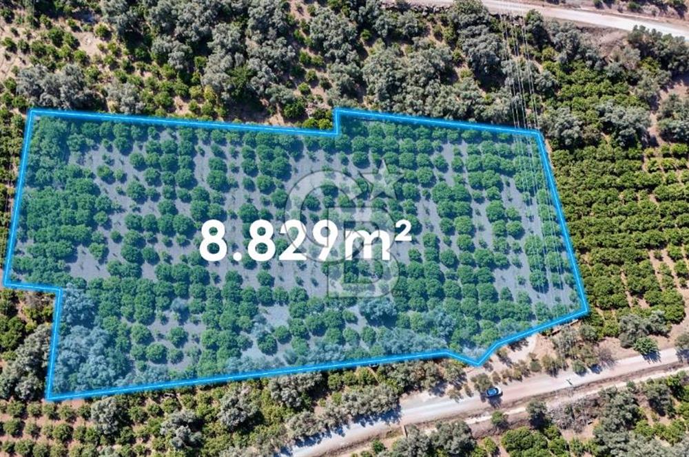 Seferihisar Ürkmez Satılık 8.830 m2 Tarla