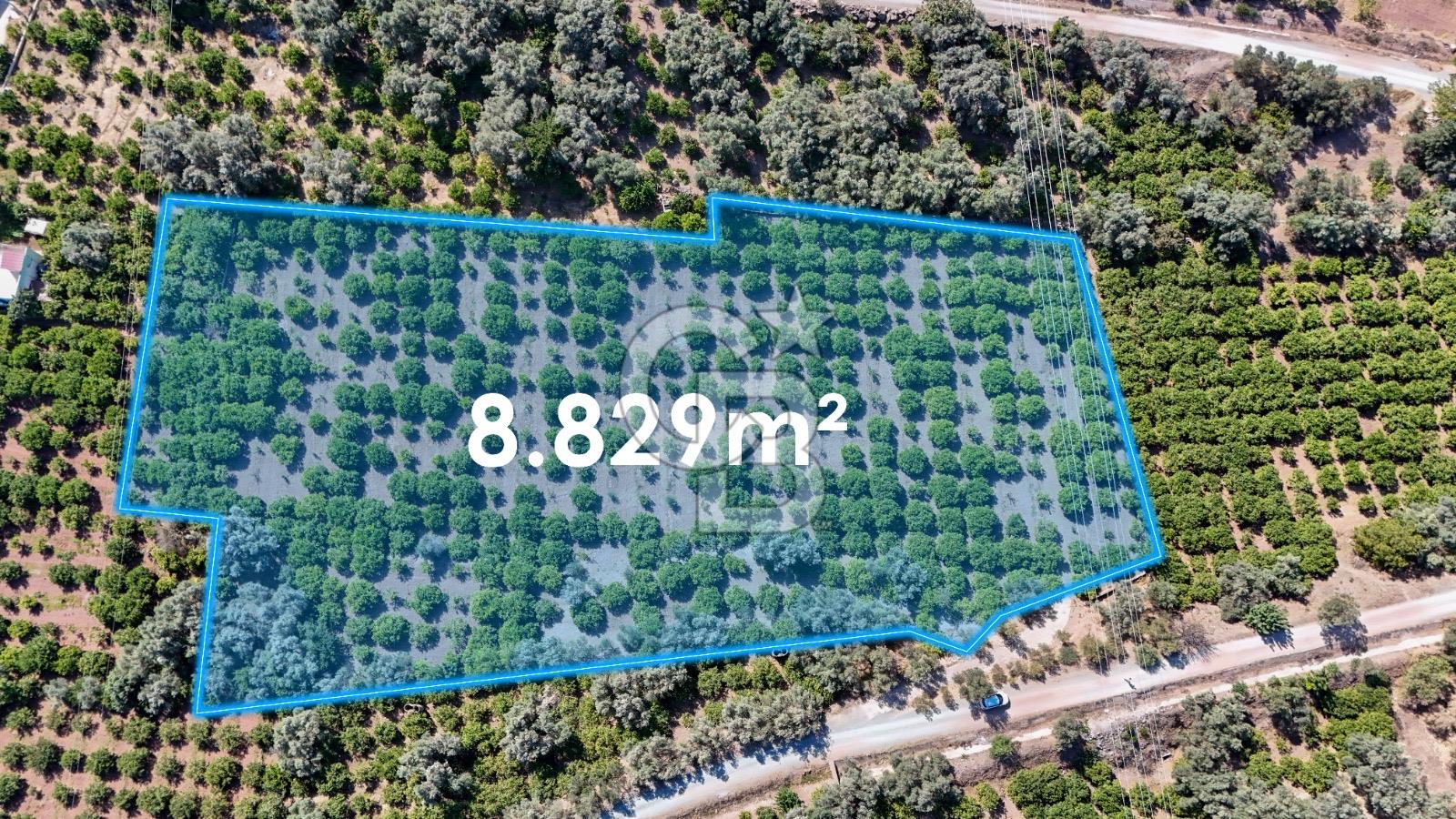 Seferihisar Ürkmez Satılık 8.830 m2 Tarla