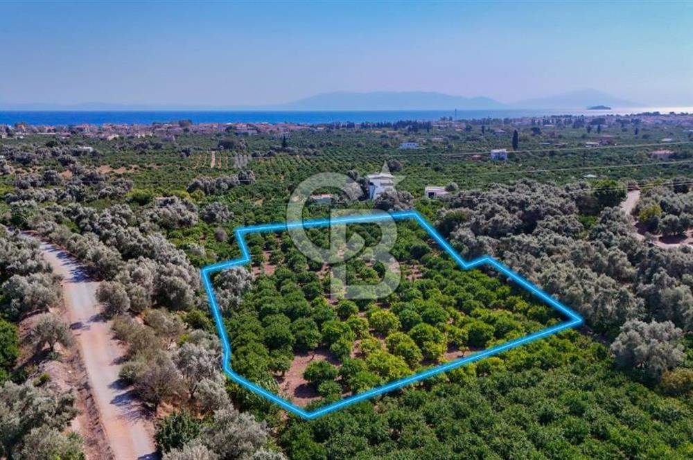 Seferihisar Ürkmez Satılık 8.830 m2 Tarla