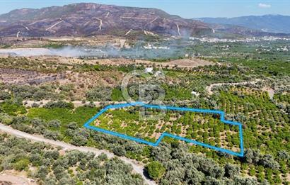 Seferihisar Ürkmez Satılık 8.830 m2 Tarla