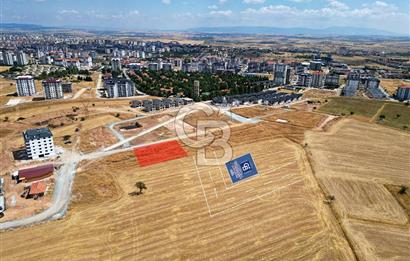 CB OPİA'DAN ÇOKLU FIRSAT:KUYUCAK'TA 2 ADET YAN YANA SATILIK ARSA