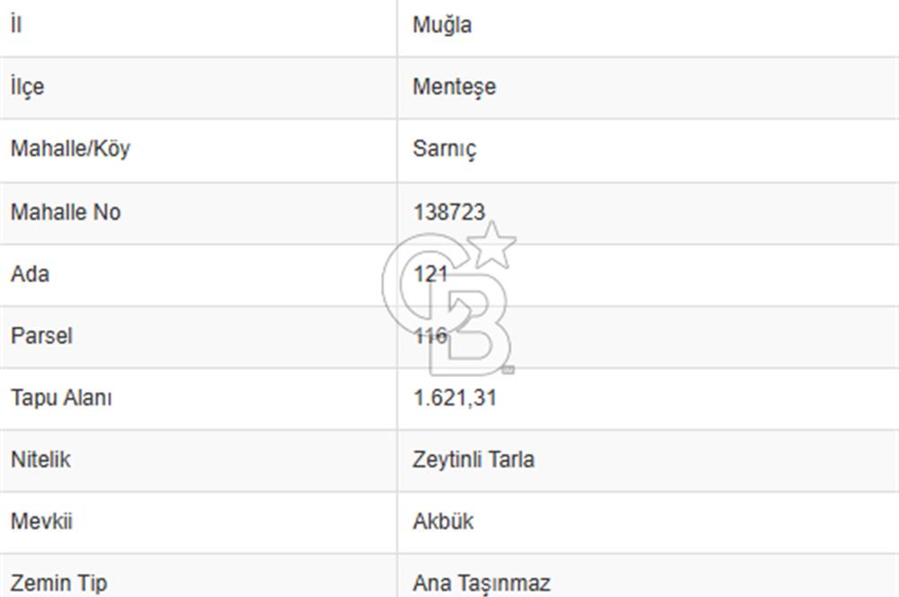 Muğla Akbük mevkiin de satılık zeytinli tarla 1/4 hisse