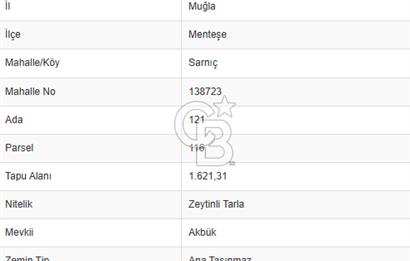 Muğla Akbük mevkiin de satılık zeytinli tarla 1/4 hisse