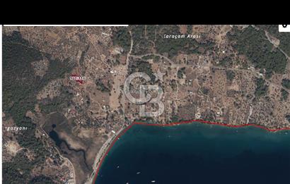 Muğla Akbük mevkiin de satılık zeytinli tarla 1/4 hisse