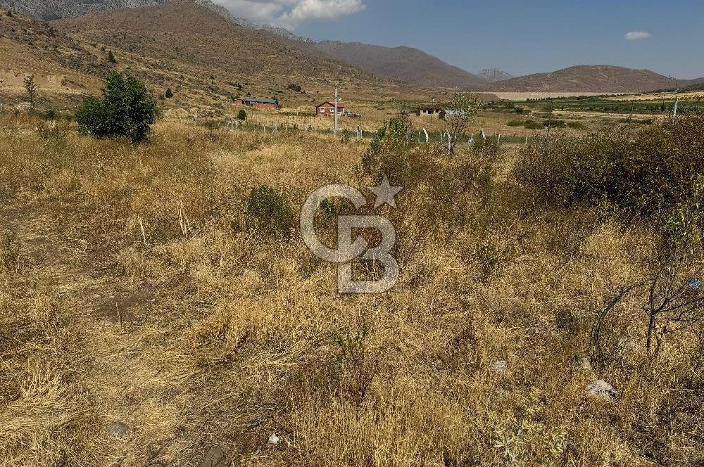 Isparta Şarkikaraağaç'da Satılık Fırsat Yatırımlık Arsa