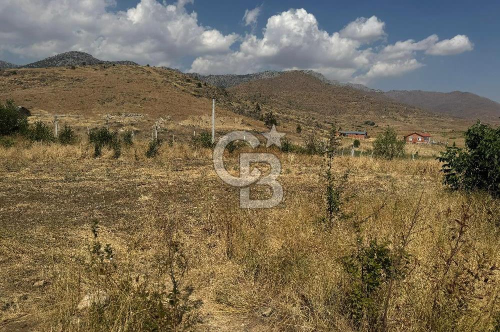 Isparta Şarkikaraağaç'da Satılık Fırsat Yatırımlık Arsa