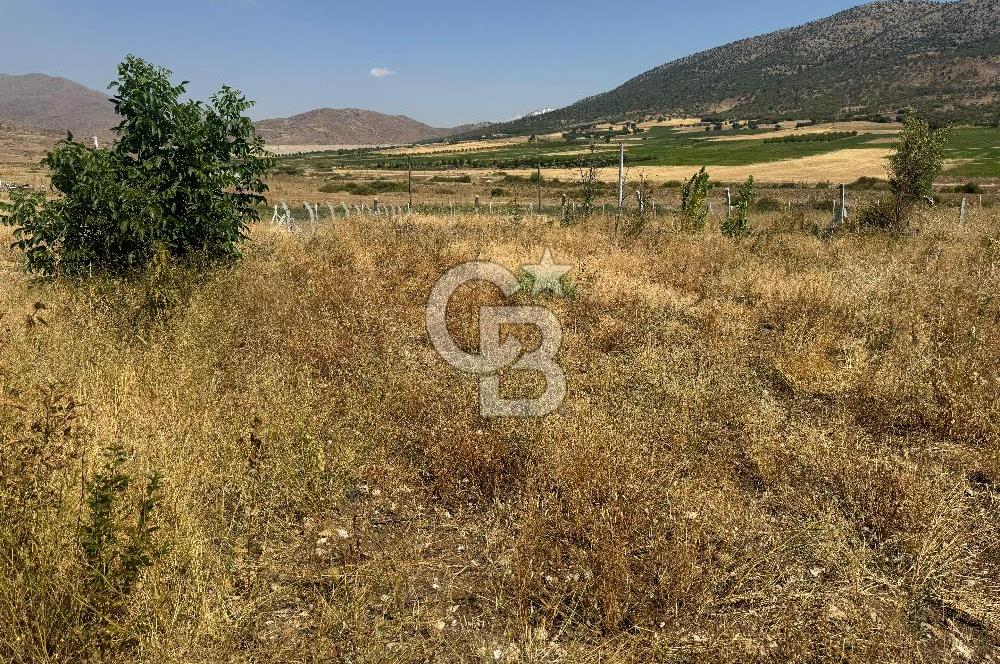 Isparta Şarkikaraağaç'da Satılık Fırsat Yatırımlık Arsa