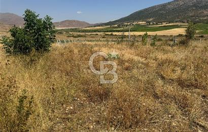 Isparta Şarkikaraağaç'da Satılık Fırsat Yatırımlık Arsa